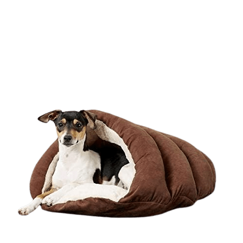 Top 3 Comfortable Couches for Dogs