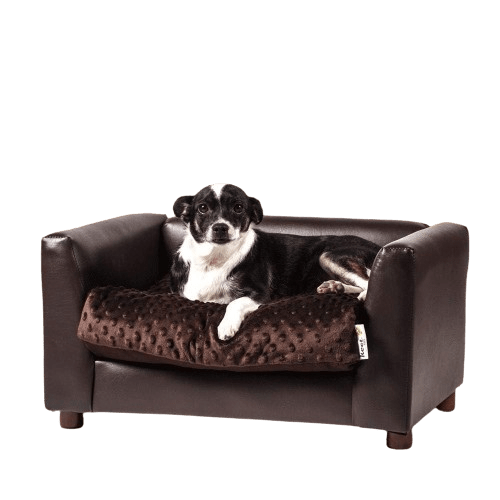 Top 3 Comfortable Couches for Dogs