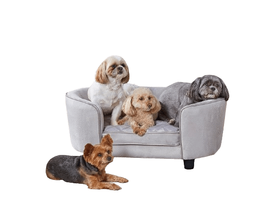 Top 3 Comfortable Couches for Dogs