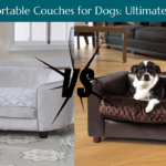 3 Best Couches for Dogs 2024